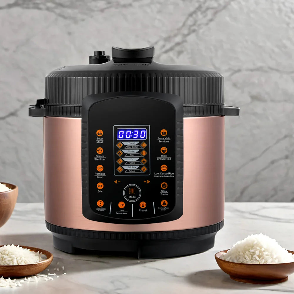 4L Stainless Steel Electric Pressure Cooker with LED Display